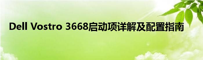 Dell Vostro 3668启动项详解及配置指南