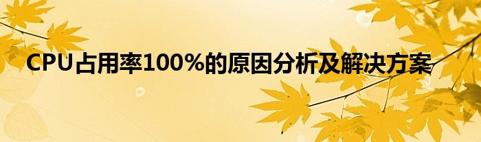 CPU占用率100%的原因分析及解决方案