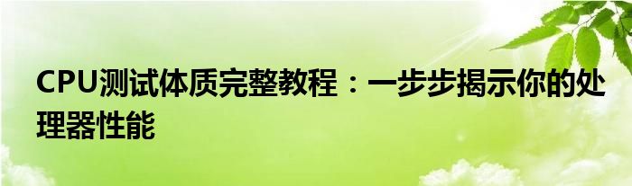 CPU测试体质完整教程：一步步揭示你的处理器性能