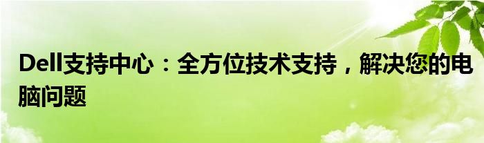 Dell支持中心：全方位技术支持，解决您的电脑问题