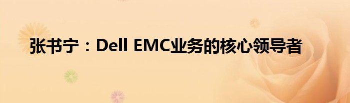 张书宁：Dell EMC业务的核心领导者