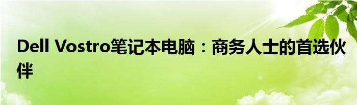 Dell Vostro笔记本电脑：商务人士的首选伙伴