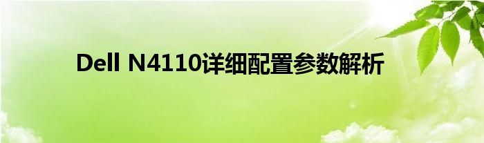 Dell N4110详细配置参数解析