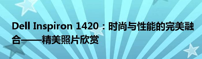 Dell Inspiron 1420：时尚与性能的完美融合——精美照片欣赏