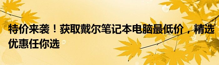 特价来袭！获取戴尔笔记本电脑最低价，精选优惠任你选