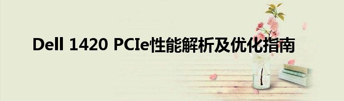 Dell 1420 PCIe性能解析及优化指南