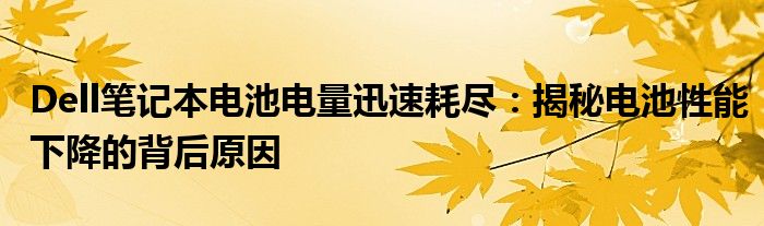 Dell笔记本电池电量迅速耗尽：揭秘电池性能下降的背后原因