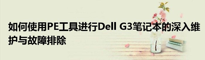 如何使用PE工具进行Dell G3笔记本的深入维护与故障排除