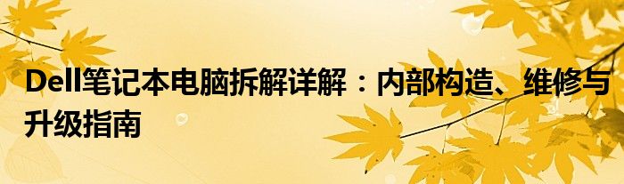 Dell笔记本电脑拆解详解：内部构造、维修与升级指南