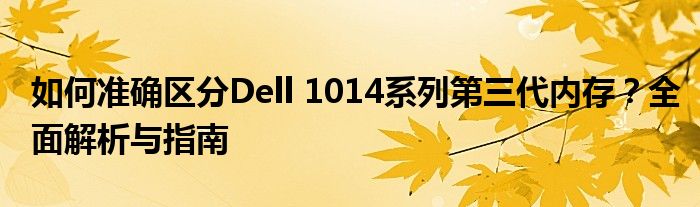 如何准确区分Dell 1014系列第三代内存？全面解析与指南