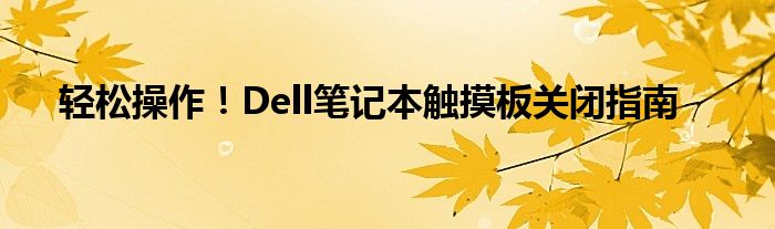 轻松操作！Dell笔记本触摸板关闭指南