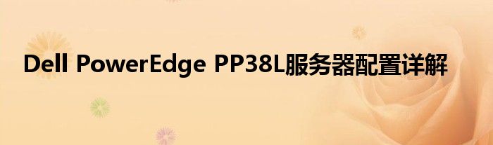 Dell PowerEdge PP38L服务器配置详解