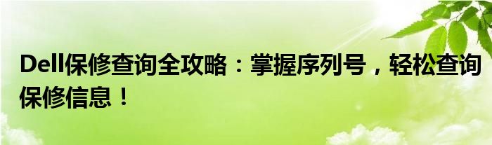 Dell保修查询全攻略：掌握序列号，轻松查询保修信息！