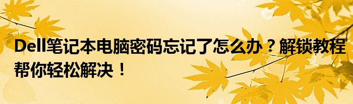 Dell笔记本电脑密码忘记了怎么办？解锁教程帮你轻松解决！