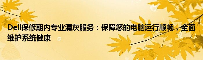 Dell保修期内专业清灰服务：保障您的电脑运行顺畅，全面维护系统健康