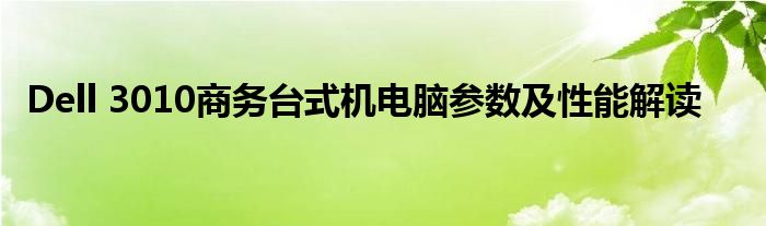 Dell 3010商务台式机电脑参数及性能解读