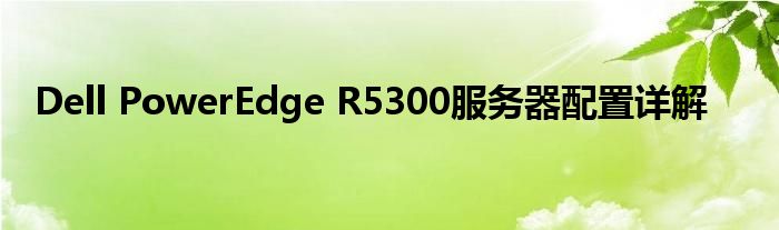 Dell PowerEdge R5300服务器配置详解