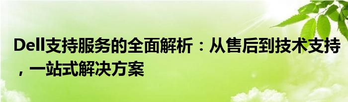 Dell支持服务的全面解析：从售后到技术支持，一站式解决方案