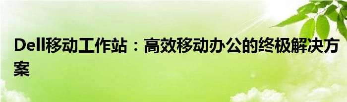 Dell移动工作站：高效移动办公的终极解决方案