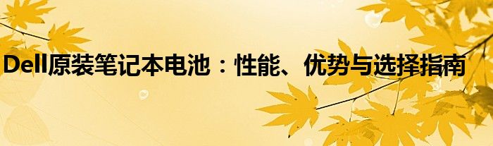 Dell原装笔记本电池：性能、优势与选择指南