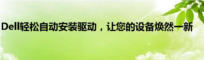 Dell轻松自动安装驱动，让您的设备焕然一新