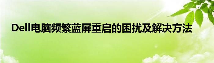 Dell电脑频繁蓝屏重启的困扰及解决方法