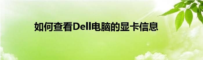 如何查看Dell电脑的显卡信息