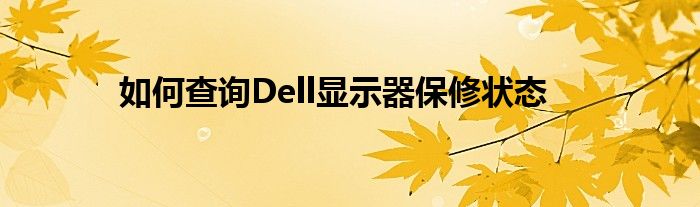 如何查询Dell显示器保修状态