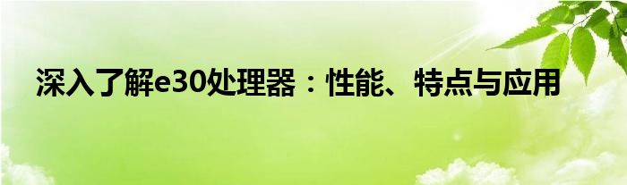 深入了解e30处理器：性能、特点与应用