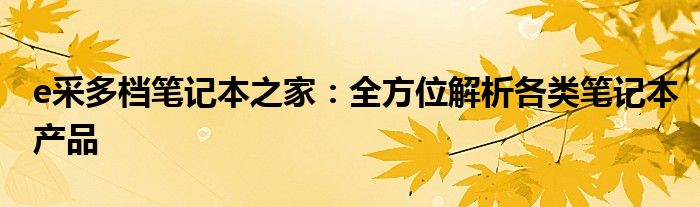 e采多档笔记本之家：全方位解析各类笔记本产品