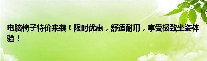 电脑椅子特价来袭！限时优惠，舒适耐用，享受极致坐姿体验！