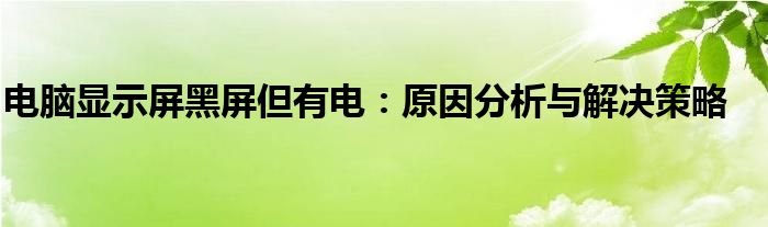 电脑显示屏黑屏但有电：原因分析与解决策略