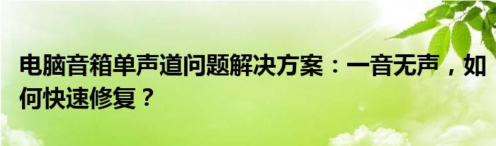 电脑音箱单声道问题解决方案：一音无声，如何快速修复？