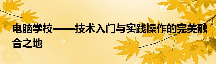 电脑学校——技术入门与实践操作的完美融合之地