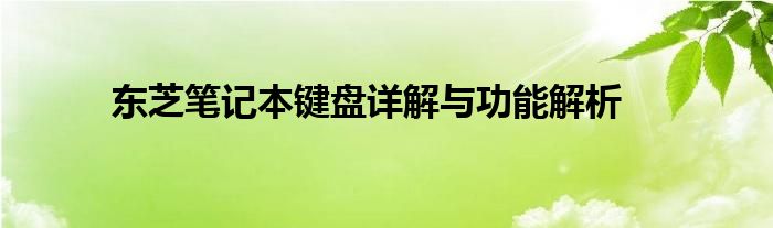 东芝笔记本键盘详解与功能解析