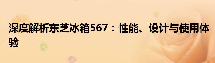 深度解析东芝冰箱567：性能、设计与使用体验