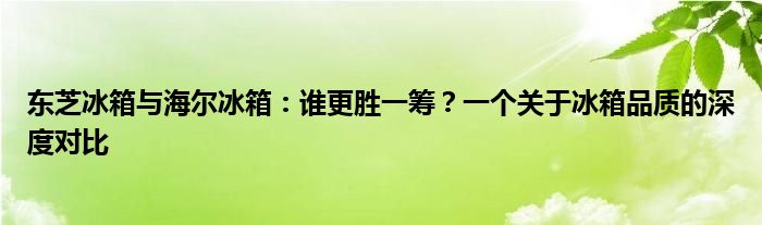 东芝冰箱与海尔冰箱：谁更胜一筹？一个关于冰箱品质的深度对比