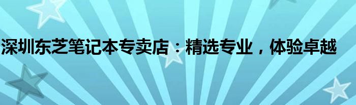 深圳东芝笔记本专卖店：精选专业，体验卓越