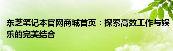 东芝笔记本官网商城首页：探索高效工作与娱乐的完美结合