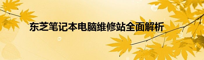 东芝笔记本电脑维修站全面解析