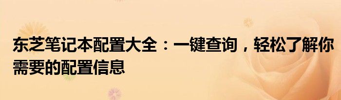 东芝笔记本配置大全：一键查询，轻松了解你需要的配置信息