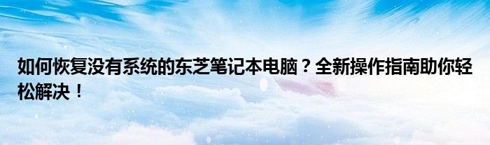 如何恢复没有系统的东芝笔记本电脑？全新操作指南助你轻松解决！