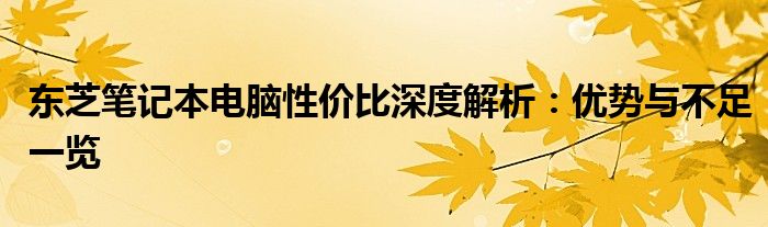 东芝笔记本电脑性价比深度解析：优势与不足一览