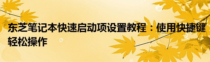 东芝笔记本快速启动项设置教程：使用快捷键轻松操作