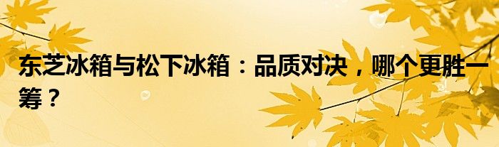 东芝冰箱与松下冰箱：品质对决，哪个更胜一筹？