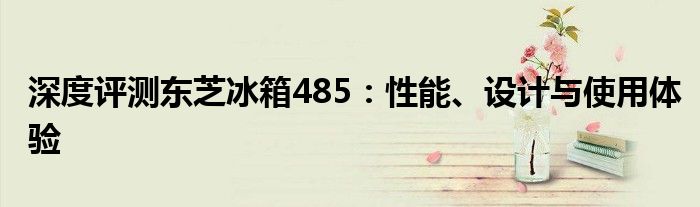 深度评测东芝冰箱485：性能、设计与使用体验