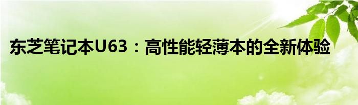 东芝笔记本U63：高性能轻薄本的全新体验