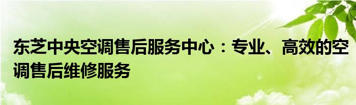 东芝中央空调售后服务中心：专业、高效的空调售后维修服务