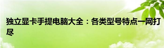 独立显卡手提电脑大全：各类型号特点一网打尽