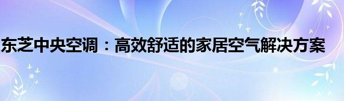 东芝中央空调：高效舒适的家居空气解决方案